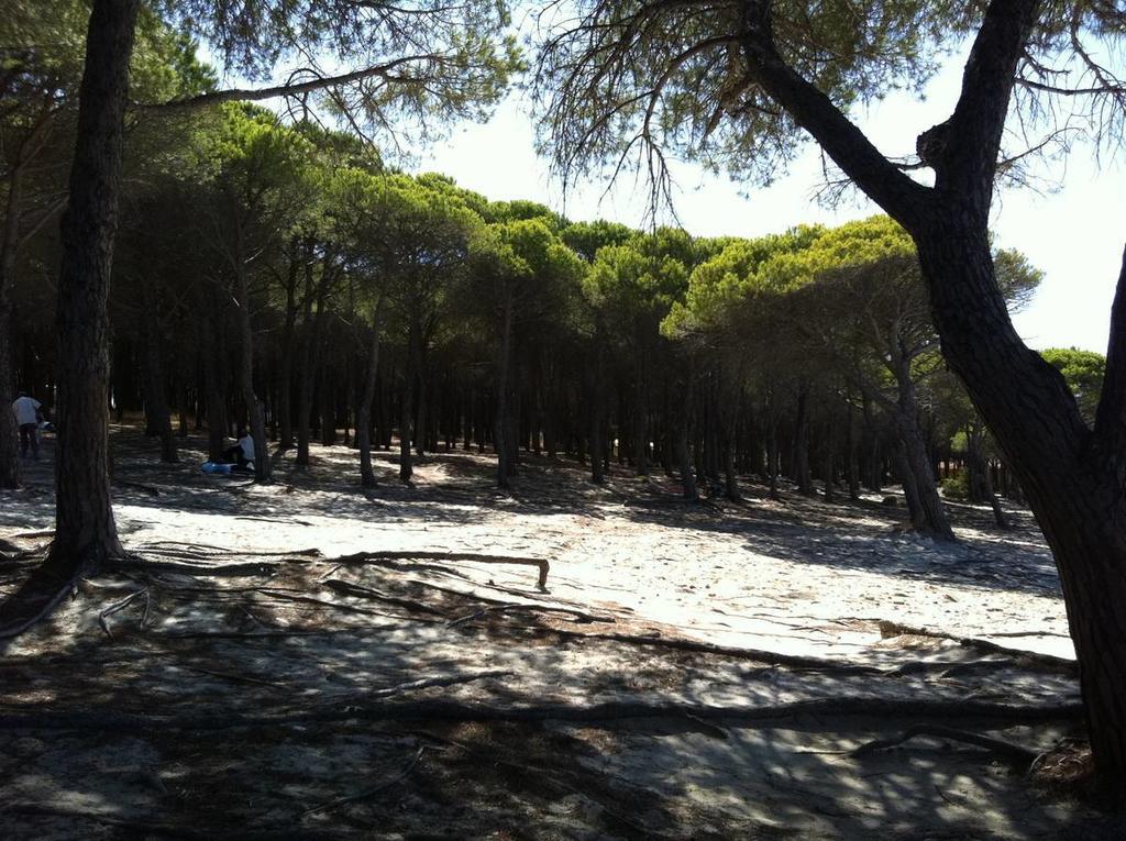 Case Vacanze Budoni Beach Rom bilde